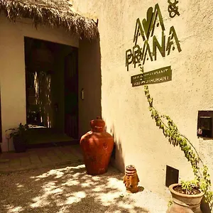 https://ama-prana.quintano-roohotels.com